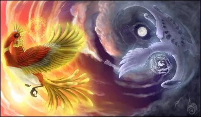 Préfères-tu la nuit ou le jour ?