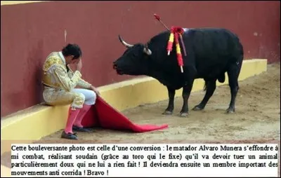 Dans ''Le Bêtisier des corridas'' des Nuls, vous ne verrez que des victoires de taureaux ! Qui a sorti une chanson intitulée ''La Corrida'' en 1994 ?