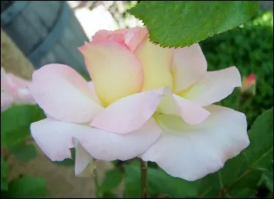 Regardez bien l'illustration ! Et sautez sur l'évidente évidence...