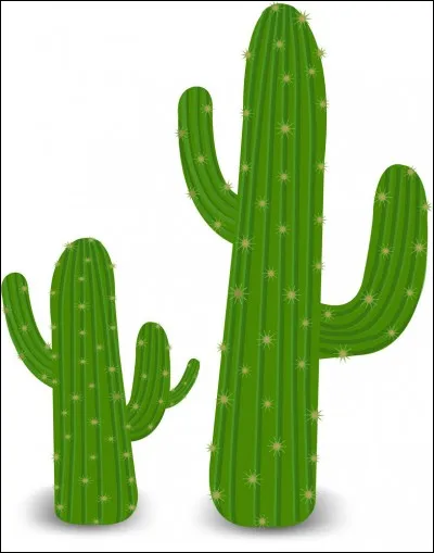 Dans quelle ville peut-on voir ça ?