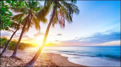 À quel groupe antillais doit-on les tubes "Sa ké cho" et "DJ" dans les années 1990 ?