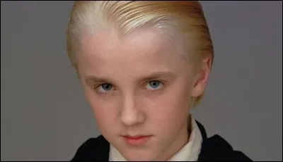 Comment s'appelle le pire ennemi d'Harry ?