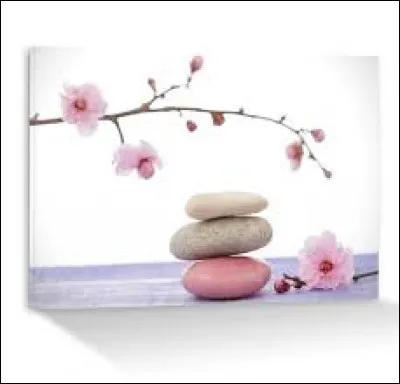 Étendue d'eau peu profonde au centre d'un atoll :