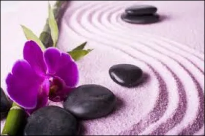 Ces juges musulmans remplissent à la fois les fonctions civiles et religieuses.