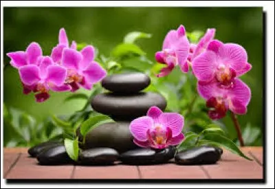 Cette fibre végétale est soyeuse et légère.