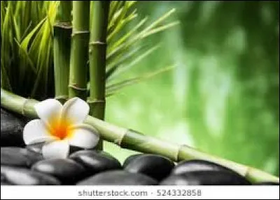 Sandwich à base de viande épicée à l'orientale et cuite sur broche verticale :