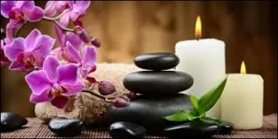 Oiseau palmipède des mers arctiques, qui se nourrit de poissons dérobés à d'autres oiseaux, surnommé ''mouette ravisseuse'' :