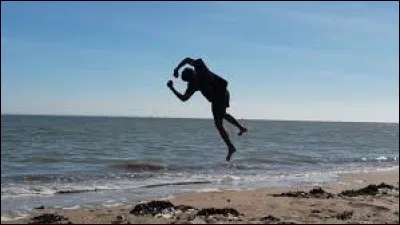 Au free-run, comment s'appelle un salto arrière sur une jambe avec une vrille ?