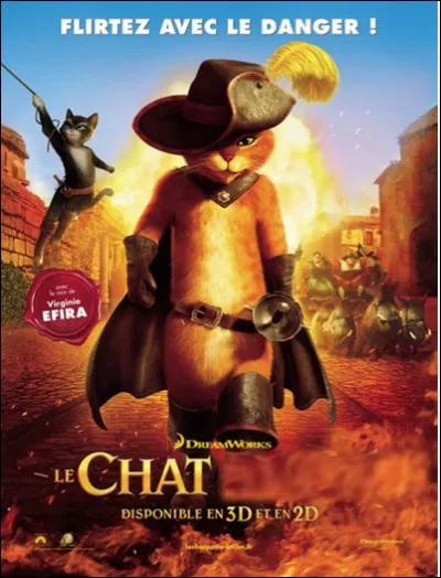 Quel est ce film ?