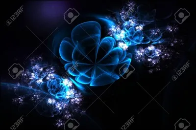 Au judo, la ceinture noire est le grade le plus élevé.