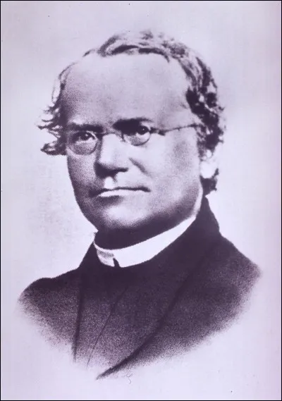 Si vous étudiez le travail de Gregor Mendel, vous étudiez quelle matière ?