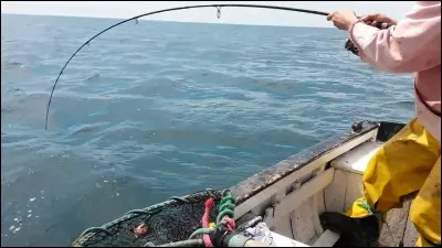 Appât que l'on met à l'hameçon !