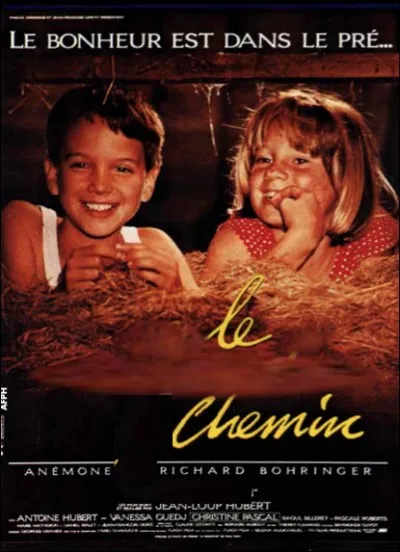 Quel est ce film ?