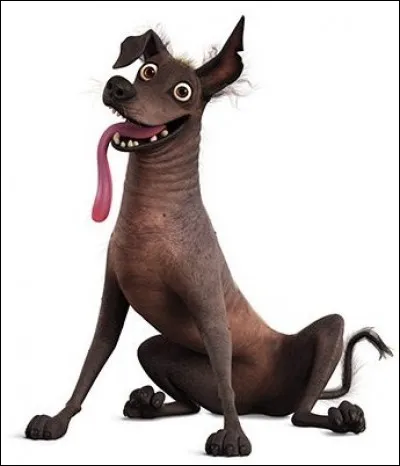 Comment s'appelle son chien ?