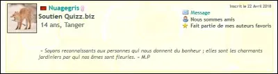 ... Quizz.biz, Nuagegris crée de très bons quizz.