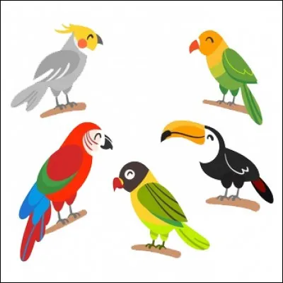 Parmi ces quatre oiseaux, lequel est le plus petit ?