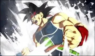 Quelles sont les transformations de Bardock ?