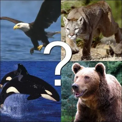 Quel animal est le symbole de l'Etat ?