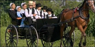 Chez les Amish, environ 25% décident de quitter la communauté.