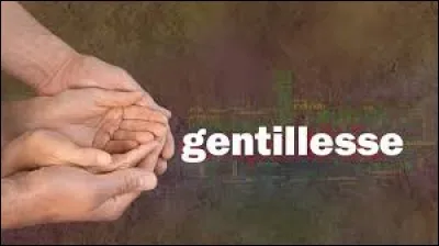 En anglais, le mot "gentillesse" se dit "graciousness".