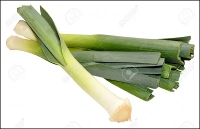 Qui a découvert en 1846 la planète Neptune ?