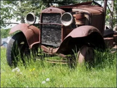 Le "gode" est un animal : lequel ?