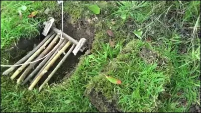 Chassez l'intrus ! Si vous vous trompez, je ne vous pardonnerais pas !