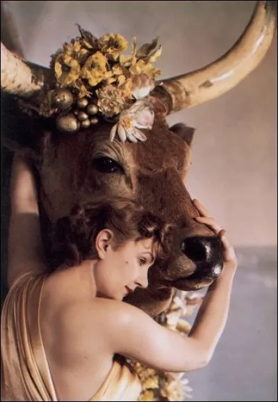 De l'union contre nature de cette reine de Crète avec ce taureau naquit Astérios. Qui est-elle ?