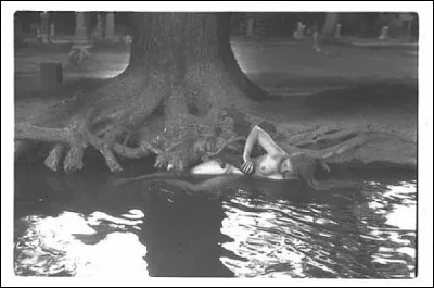 Qui sont ses nymphes dont le destin était lié à celui d'un chêne ?