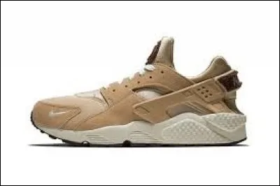 Quel est le nom de ce logo ?