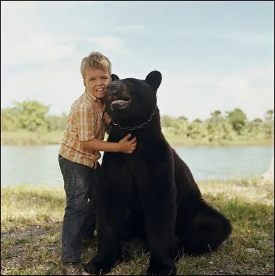 Voilà un noble Fozzie, doux animal familier de la famille Wedloe, et particulièrement du petit Mark, qui vit dans le Parc National des Everglades en Floride. Quel est le titre de cette série des années 60 ?
