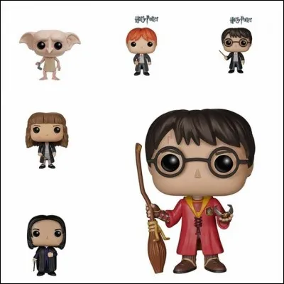 Dans quelle maison veux-tu aller ?