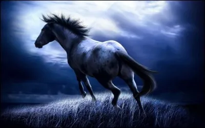 "Les chevaux sauvages sont pour la plupart "..." (en anglais)