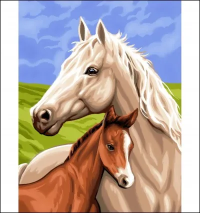 Que veut dire "foal" ?