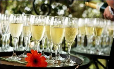 Nous sommes nombreux, on met la main à la pâte ! Nicoldy, Cernier, Pondichéry, Arnaud, Rhapsodie, Irma, Buddy, Frolo, 197, Titi, René, C.Descamps et Fan de Luna se sont dévoués pour faire le service ! 
Cactus, qui a bu un petit verre de trop, écorche un peu les mots ! Aidez-la !