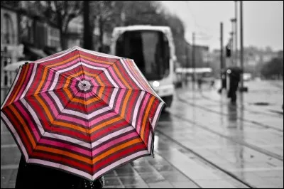 C'est DomdeNantes qui les a pris en stop ! Il paraît qu'il pleut sur Nantes comme le disait Barbara dans sa magnifique chanson où elle évoque la rue de la grange..."