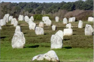 Dans quel département se trouvent ces menhirs ?