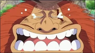 Quelle est la particularité de Sauro, l'ami de Robin ?