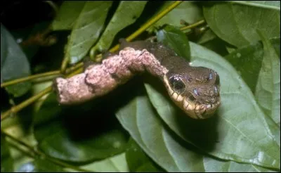 Je suis sûr que vous allez m'identifier facilement  ou pas !