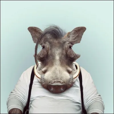 Je creuse des galeries dans la savane !