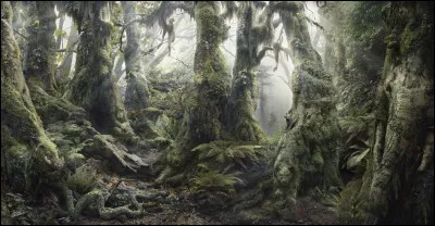 Plusieurs animaux sont cachés dans cette image, citez-en un qui n'y est pas !