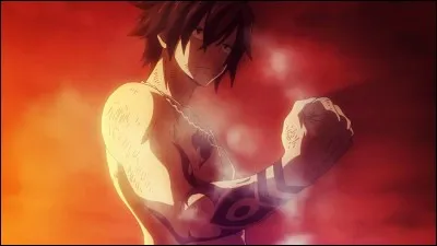 Grey Fullbuster est un...