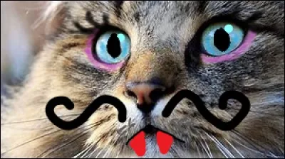 Tu as eu une mauvaise note en histoire. Comment r&eacute;agis-tu ?