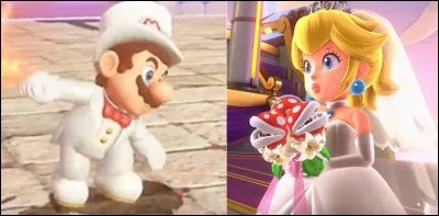 Luigi et Daisy, Mario et Peach, Toad et Toadette, Bowser et...