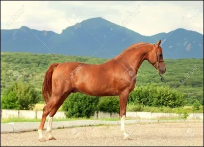 Quelle est cette robe ?