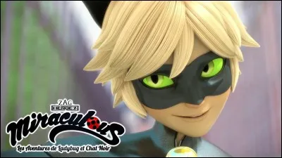 Tu as le Miraculous du Chat Noir et le super-vilain est le Patineur. Que fais-tu ?