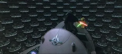 Qui s'opposent dans ce combat ?