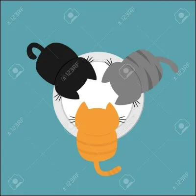 Quel chat préfères-tu ?