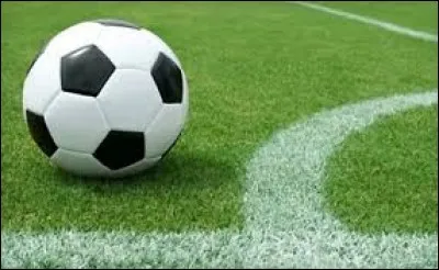 Quel pays a gagn&eacute; la Coupe du monde de football en 2010 ?