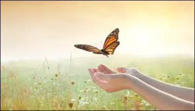 &Agrave; qui doit-on la c&eacute;l&egrave;bre citation : "La vie est un myst&egrave;re qu'il faut vivre, et non un probl&egrave;me &agrave; r&eacute;soudre" ?